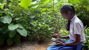 sustainablelearning
