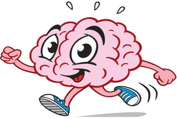 Working memory
